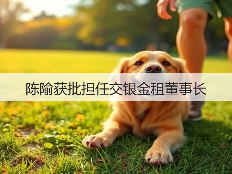 陈隃获批担任交银金租董事长