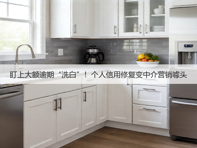 盯上大额逾期“洗白”！个人信用修复变中介