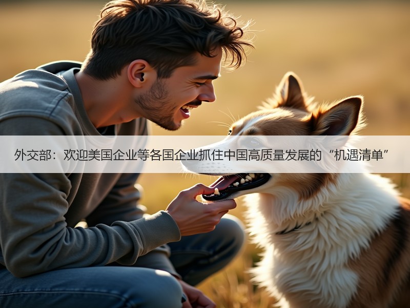 外交部：欢迎美国企业等各国企业抓住中国高