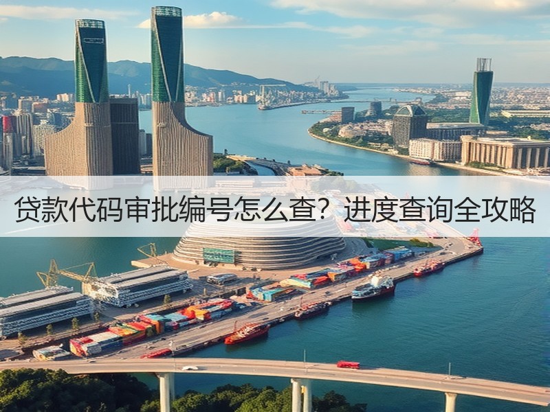 贷款代码审批编号怎么查？进度查询全攻略