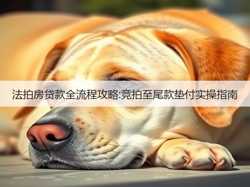 法拍房贷款全流程攻略:竞拍至尾款垫付实操