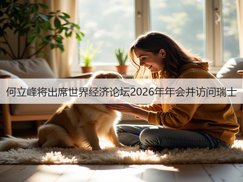 何立峰将出席世界经济论坛2026年年会并