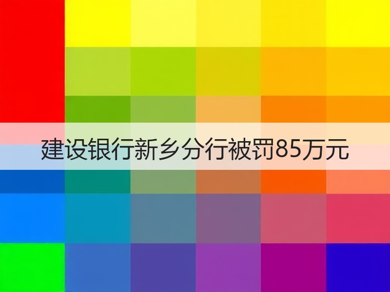 建设银行新乡分行被罚85万元