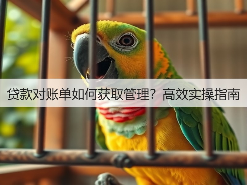 贷款对账单如何获取管理？高效实操指南