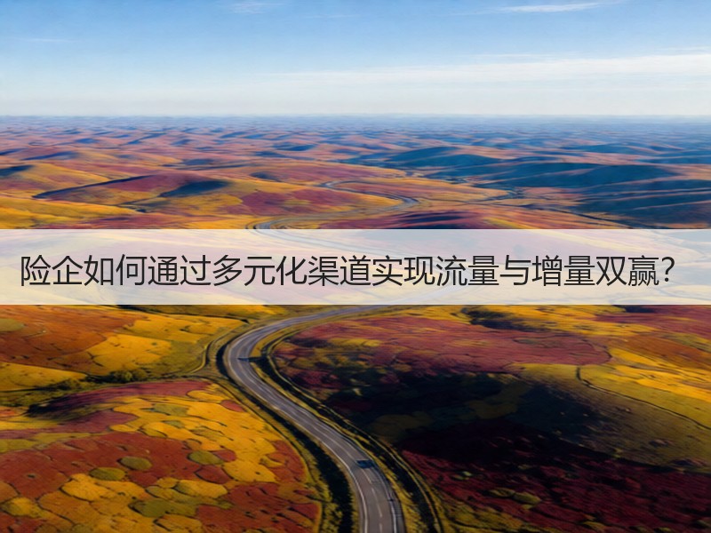 险企如何通过多元化渠道实现流量与增量双赢