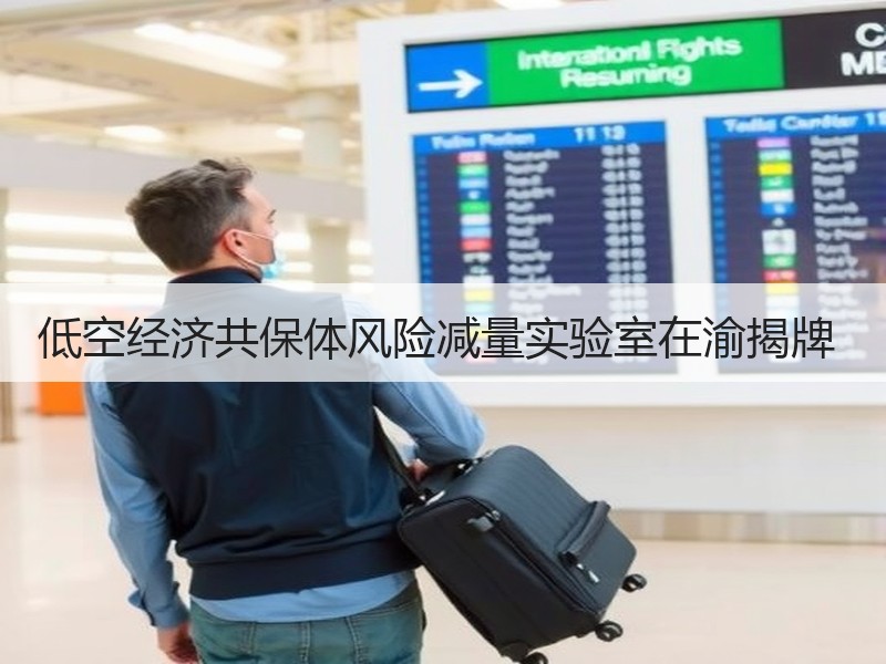 低空经济共保体风险减量实验室在渝揭牌 　