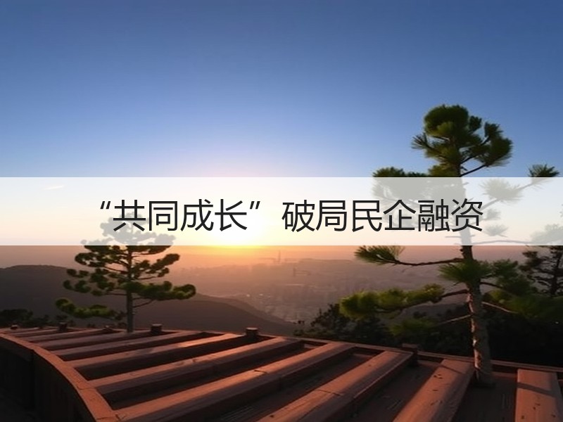 “共同成长”破局民企融资