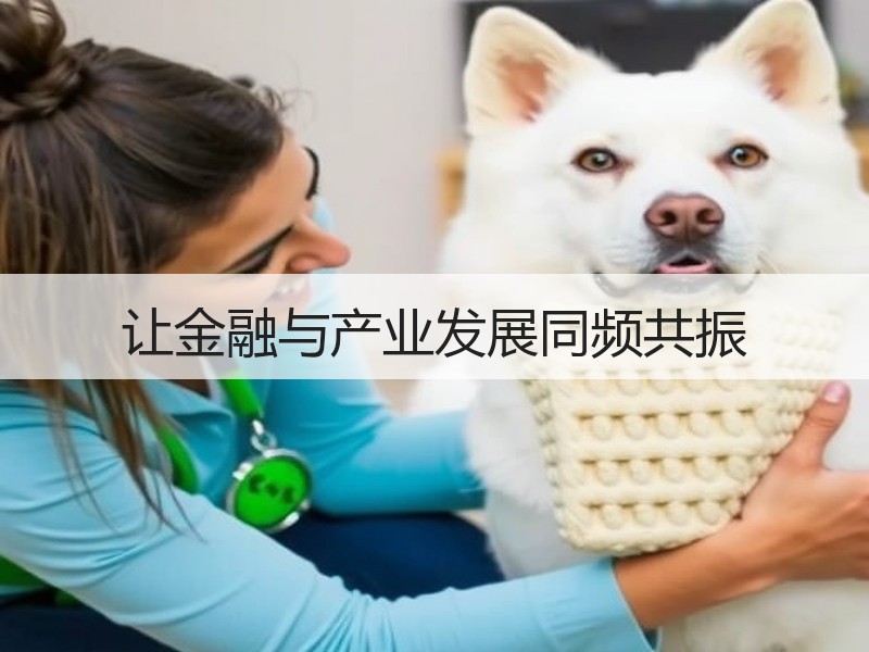 让金融与产业发展同频共振