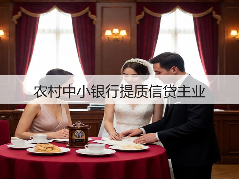 农村中小银行提质信贷主业