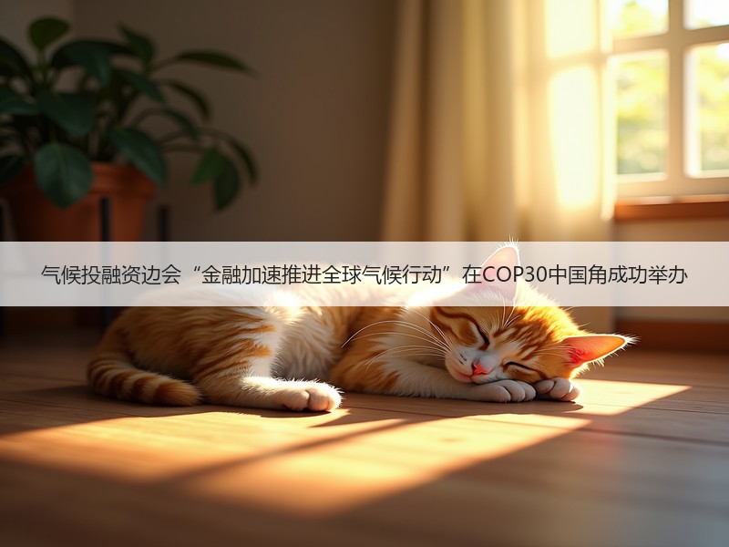 气候投融资边会“金融加速推进全球气候行动