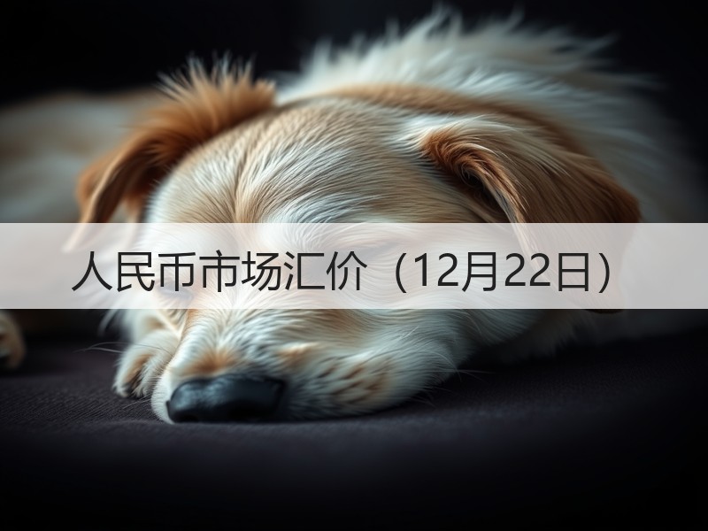 人民币市场汇价（12月22日）
