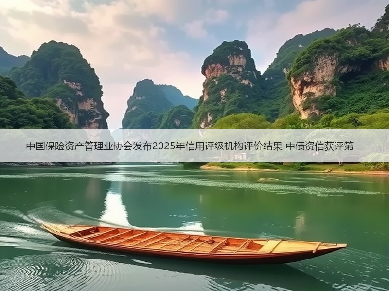 中国保险资产管理业协会发布2025年信用