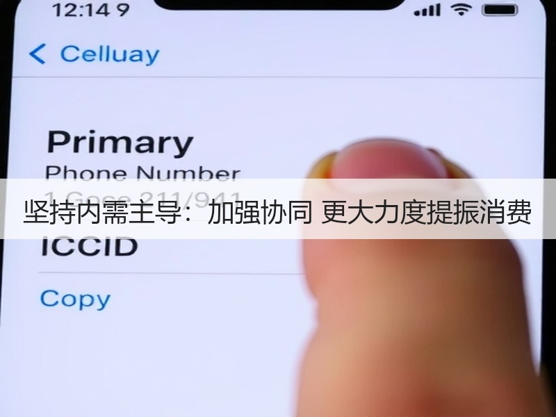 坚持内需主导：加强协同 更大力度提振消费