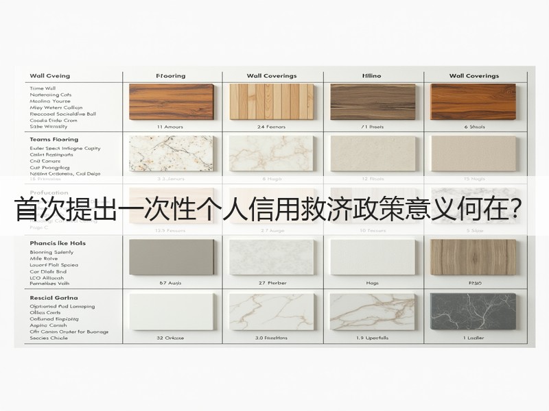 首次提出一次性个人信用救济政策意义何在？