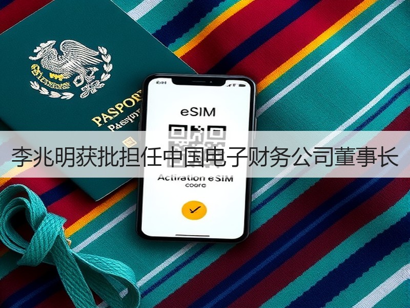 李兆明获批担任中国电子财务公司董事长