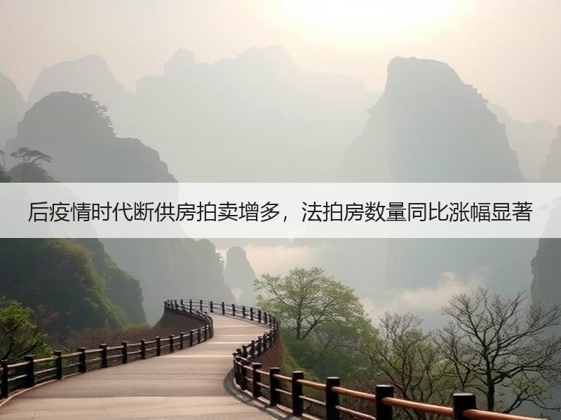 后疫情时代断供房拍卖增多，法拍房数量同比