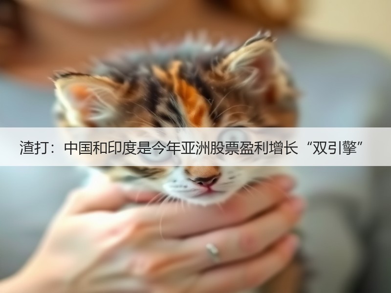 渣打：中国和印度是今年亚洲股票盈利增长“