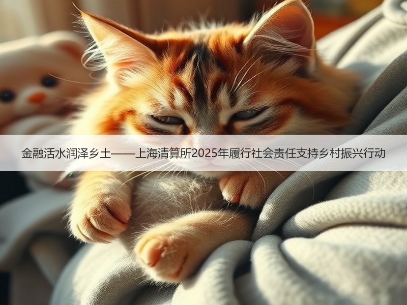 金融活水润泽乡土——上海清算所2025年