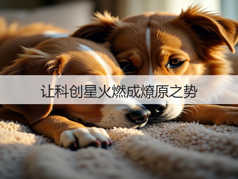 让科创星火燃成燎原之势
