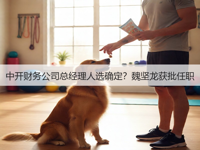 中开财务公司总经理人选确定？魏坚龙获批任