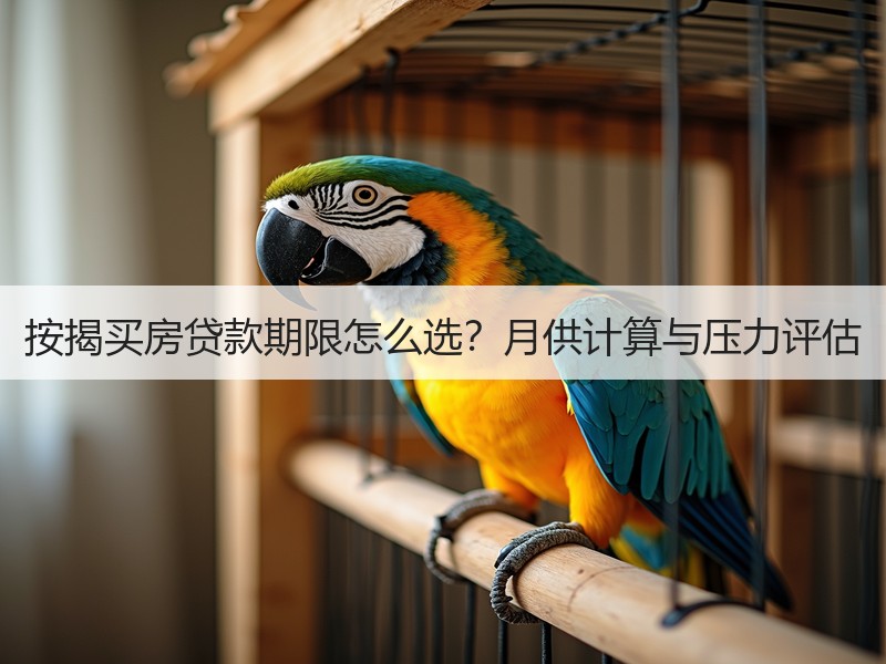 按揭买房贷款期限怎么选？月供计算与压力评